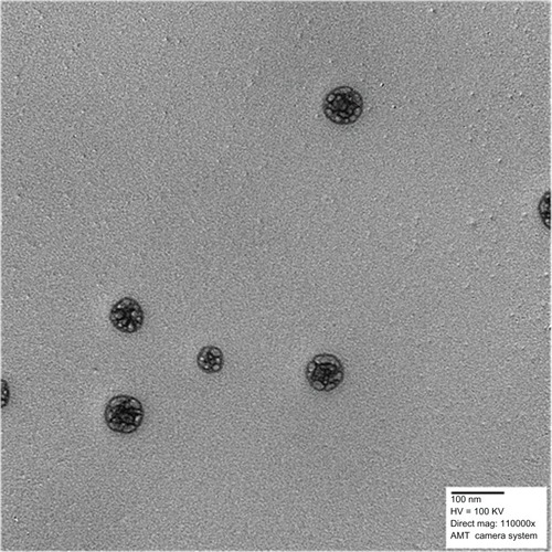 Figure 4 Transmission electron micrograph of PLA-PEG nanoparticles.Abbreviations: PEG, poly(ethylene glycol); PLA, polylactic acid.