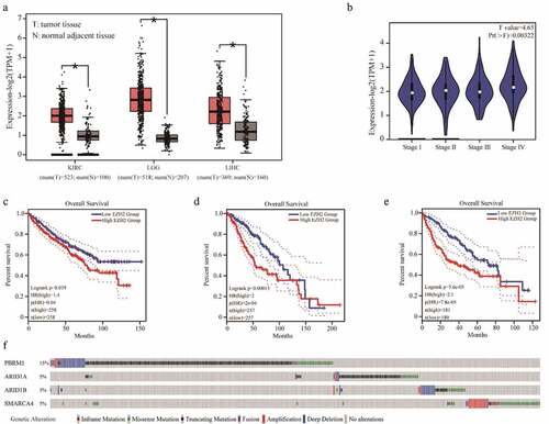 Figure 1. Bioinformatics analysis of EZH2 and PBRM1 in cancer. The expression of EZH2 in kidney renal clear cell carcinoma (KIRC), brain lower-grade glioma (LGG), and liver hepatocellular carcinoma (LIHC) are significantly higher than those of normal tissues. T means tumor tissue and N means normal adjacent tissue. (b) EZH2 expression in different stages of KIRC. (c–e) The overall survival of patients with KIRC, LGG, and LIHC in reference to EZH2 expression. (f) The overall mutation rates of PBRM1, ARID1A, ARID1B, or SMARCA4 in KIRC, LGG, and LIHC