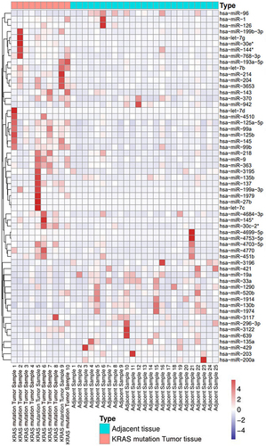 Figure 2 Heatmap of miRNA expression differences between KRAS-mutant tumor tissues and adjacent tissues.