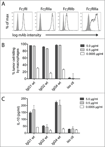 Figure 2. Macrophage tumor-cell-killing is uncoupled from ADCR. (A) Flow cytometry analysis for the cell surface expression of macrophage FcγRI, FcγRIIa, FcγRIIb, and FcγRIIIa. Isotype controls are shown as solid gray and FcγRs are shown as open lines. 24 h macrophage tumor cell-killing (B) and ADCR from the same experiment (C) are shown. Supernatants were collected after 24 h, and the IL-10 levels were measured using ELISA. Data are representative of 4 independent experiments (duplicate measurements per experiment).