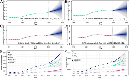 Figure 5 Predictions of kidney cancer incidence and death rates in China until 2030. Temporal trends and projected age-standardized incidence rate and age-standardized death rate by sex, from 1990 to 2030 in China (A and B for male, C and D for female); Trends in observed (dashed lines) and projected (solid lines) kidney cancer in the number of incidence cases (E) and deaths (F) from 1990 to 2030. Shading represents a 2% decreasing and increasing interval based on the 2019 rate.