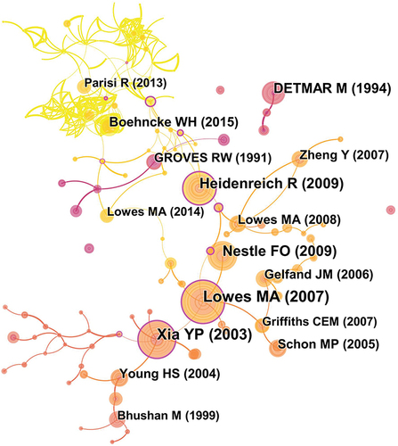 Figure 9 References co-citation network of co-cited literature on endothelial cells research in psoriasis.