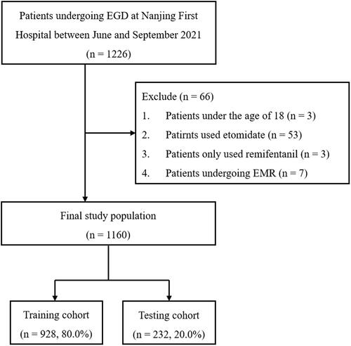 Figure 1. Flow chart of patient inclusion and exclusion.