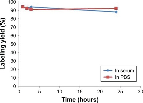 Figure 9 In vitro stability of 99mTc nanoconjugate complex in human serum at 37°C and PBS at room temperature.Abbreviation: PBS, phosphate buffered saline.