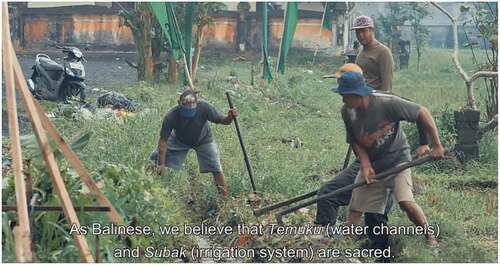 Figure 2. People clean the subak irrigation system.