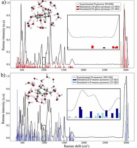 Figure 5. Simulated vibrational frequencies and Raman intensities of α and β pyranose form of D-glucose and D-mannose resulting from molecular dynamics and quantum mechanics energy minimization algorithm expressed versus the corresponding experimental Raman spectrum of the pure compound in aqueous solution at 30%DM