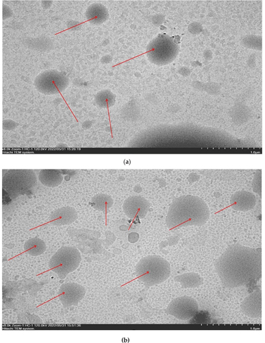 Figure 2. Morphology of the double emulsion of vitamin C in sample P3 (MCC = 2%) (a) morphology of double emulsion before drying, (b) morphology of spray-dried double emulsion after rehydration.