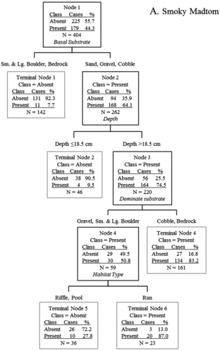 Figure 5. Classification tree analysis for microhabitat data of occupied (present) and unoccupied (absent) locations of smoky madtoms in lower Abrams Creek. Predictor variables in italics resulted in the most parsimonious split of parent nodes.