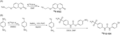 Scheme 2. Radiosynthesis of (A) 18F-FEC and (B) 18F-U-104.