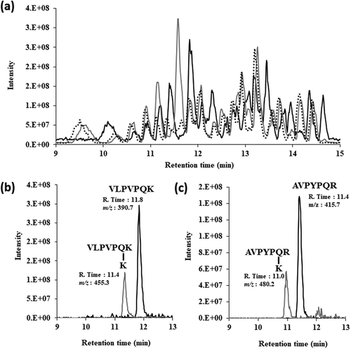 Figure 4. (a) Toal ion chromatographies of tryptic casein (black line), by using SCTG with L-Lys (grey line), and by using SMTG grey hached line).(b) LC-MS analysis of substrate of VLPVPQK (black line) and its product (grey line). (c) LC-MS analysis of substrate of AVPYPQR (black line) and its product (grey line).