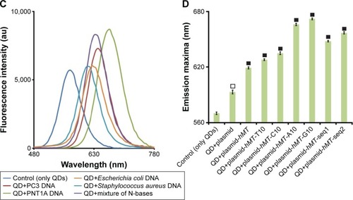 Figure 4 The detection of DNAs from different sources, DNA damage, and mutation using CdTe/ZnSe QDs.Notes: The fluorescence spectra of the QDs after the interaction with the damaged and undamaged DNAs of PC3 and PNT1A cells are represented in (A) and (B), respectively. The microscopic photos of the used PC3 and PNT1A cells are shown in the left panel of (A) and (B), respectively. (C) The fluorescence spectra of the QDs after the interaction with the DNAs from different sources and the mixture of A, T, G, and C (equimolar mixture, 1 nM). (D) The interaction of the QDs with the plasmid (pGEM-T) with or without insert DNAs. The vertical axis represents the wavelength (nm) of the fluorescence emission maxima of the samples. Data represent the mean ± SD, n=5. P<0.01 (empty square), or P<0.001 (full square).Abbreviation: QD, quantum dot.