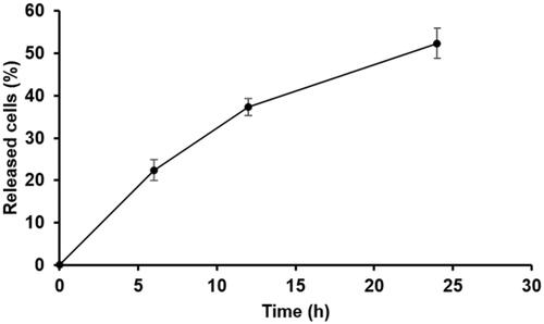 Figure 12. Proportions of GFP-expressing HEK293 cells released from porous PLGA microspheres assessed at 6, 12 and 24 h after injecting the cell-loaded porous microspheres into a 48-well plate. For the cell loading in the microspheres, 1.5 × 105 cells were added to the microspheres (5 mg) contained in the cell culture media (500 μL) in each well of a 48-well plate, and they were then incubated for 24 h.