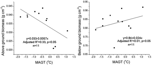 Figure 5. Relationships between mean annual ground temperature (MAGT) and above- and belowground biomass