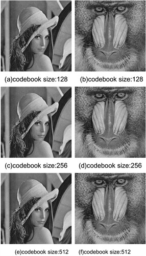 Figure 10. Stego-images for different codebook sizes.