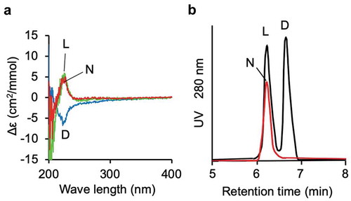 Figure 2. Determination of the stereochemistry of the active compound.(a) CD spectra of the active compound purified from the L. decastes fruiting body (red line), 6-hydroxy-L-tryptophan (green line), and 6-hydroxy-D-tryptohan (blue line). (b) UPLC analysis of FDLA derivatives of the active compound (red line) purified from the L. decastes fruiting body and a mixture of 6-hydroxy-L-tryptophan and 6-hydroxy-D-tryptohan (black line).