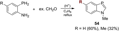 Scheme 32. Acid-catalyzed reactions of 2-phosphinoanilines with excess CH2O.[Citation101,Citation102]