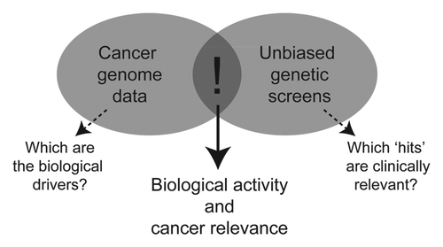 Figure 1 Cancer genomic analysis and unbiased genetic screens are complimentary tools in cancer gene discovery. Genomic analyses reveal many differences between cancer cells and their normal counterparts. Defining the key “drivers” remains a challenge. On the other hand, genetic screens identify modifiers of biological processes; however, their relevance to cancer is often unclear. Cross-referencing the results from these studies provides a functional filter for genomic data and a first indication of cancer relevance.