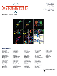 Cover image for Channels, Volume 15, Issue 1, 2021