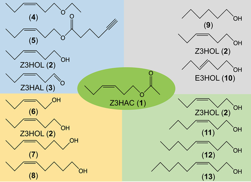 Figure 1. Compounds used in this study. (Z)-3-Hexen-1-yl acetate (1, Z3HAC), (Z)-3-hexen-1-ol (2, Z3HOL), (Z)-3-hexenal (3, Z3HAL), (Z)-3-hexen-1-yl ethyl ether (4), (Z)-3-hexen-1-yl 5-hexynoate (5), (Z)-2-penten-1-ol (6), (Z)-4-hepten-1-ol (7), (Z)-5-octen-1-ol (8), n-hexan-1-ol (9), (E)-3-hexen-1-ol (10), (Z)-3-hepten-1-ol (11), (Z)-3-octen-1-ol (12), and (Z)-3-nonen-1-ol (13).