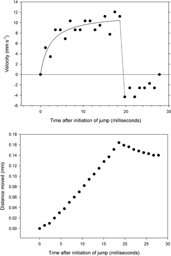Figure 3.  Velocity and distance travelled during a jump.