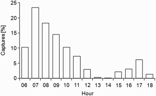 Figure 2. Hourly distribution of captures for the three study oases. Mist nets were opened from dawn to dusk. n = 1066 (data considered here: first capture event of each individual; only birds with measured body mass and P3).