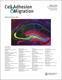 Cover image for Cell Adhesion & Migration, Volume 14, Issue 1, 2020