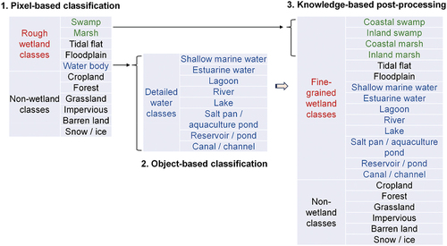 Figure 4. The conception of the multi-stage wetland classification.