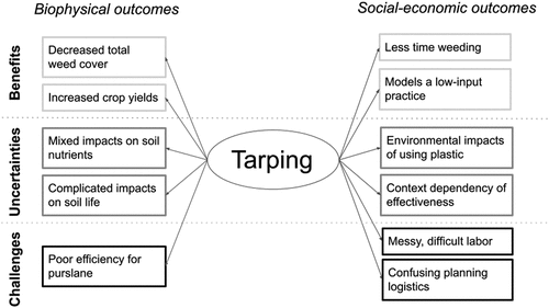 Figure 4. Biophysical and social-economic factors weighing into farmers decision-making around tarping.