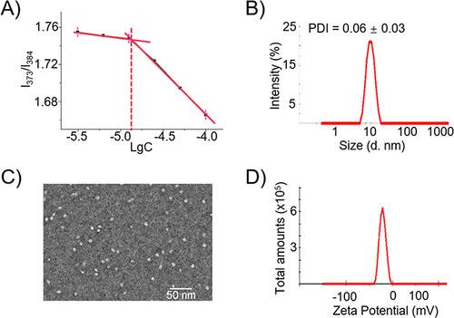 Figure 2 Self-assembling of the amphiphilic Eb-Bio conjugate into nanomicelles (EbNMs). (A) The critical micelle concentration of Eb-Bio conjugate determined using fluorescent assay with pyrene as the fluorescent probe; (B) dynamic light scattering (DLS) analysis; (C) transmission electron microscopic (TEM) imaging; (D) zeta potential measurement of the EbNMs.