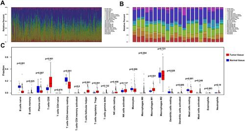 Figure 3 Profiles of immune cell infiltration in normal and tumor tissues. (A) Barplot showing distribution of the 22 immune cells in tumor tissues. (B) Barplot showing distribution of the 22 immune cells in normal tissues. (C) Boxplots showing infiltration of the 22 immune cells in normal and tumor tissues.
