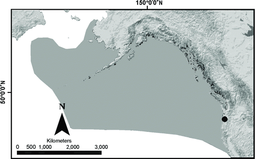 FIGURE 2 Ocean habitat of Chinook salmon (darker area) spawned on the West Coast of North America (redrawn from Beamish et al. Citation2005 showing the location of Lincoln County, Oregon [circle]).