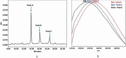 Figure 2. Intact mAb-1 was enzymatically digested using GingisKHAN in the upper hinge region to generate Fab and Fc domains. The digested domains were analyzed by CEX using pH gradient elution as described in the method section. The CEX profile of digested mAb-1contained three dominant peaks with distinct intrinsic fluorescence. (a) CEX chromatogram of digested domains of mAb-1. (b) Fluorescence profile of the three major peaks of the digested mAb-1: peak-A in red (330 nm/350 nm = 1.15), peak-B in blue (330 nm/350 nm = 1.38), peak-C in black (330 nm/350 nm = 1.58)