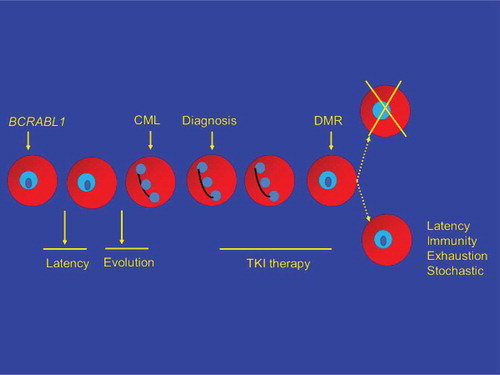 Figure 2. Direct eradication of CML.