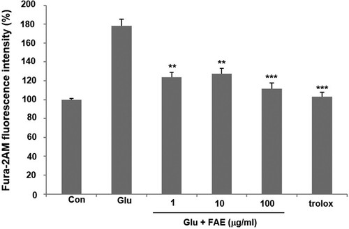 Figure 2. Effect of fermented A. arborescens extract (FAE: 1, 10 and 100 μg/ml) on intracellular Ca2+ concentration against glutamate induced neurotoxicity in HT22 cell. Data are means ± S.D. *p < 0.05, **p < 0.01, and ***p < 0.001 versus the glutamate-treated group