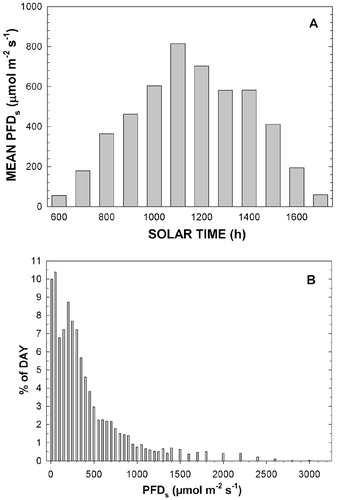 FIGURE 3. (A). Mean hourly PFD measured at the central location (PFDs) for all sampling days and (B) mean percent of daylight hours when indicated values (intervals) of PFD occurred. PFD Intervals were 50 to 1500 μmol m-2 s-1 and then 100 μmol m-2 s-1. Greatest values at 2800–2900 and at more than 3000 μmol m-2 s-1 had a frequency of 0.02% and 0.03%, respectively.