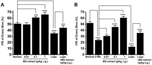 Figure 5. Effects of BG extract on the ITR in healthy and acetic acid-induced GMD mice. (A) BG extract increased the ITR. (B) The ITR was recovered by BG extract in acetic acid-induced GMD mice. Mean ± SEs. *P < 0.05. ***P < 0.001. ****P < 0.0001. BG: Black garlic. CTRL: Control. Lope: Loperamide.