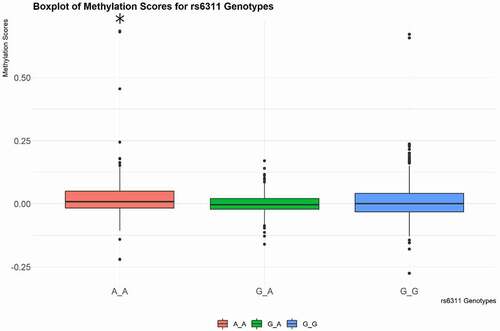 Figure 1. Boxplot of the methylation score of rs6311 genotypes. The methylation score for A/A homozygotes was significantly higher than methylation scores for G/G and A/G genotypes (* p-value < .05).