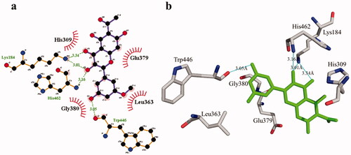 Figure 9. Phosphodiesterase-I interactions with compound 2 are mediated by binding residues. Detailed interaction of compound 2 with the active site in 2D (a) and 3D (b).