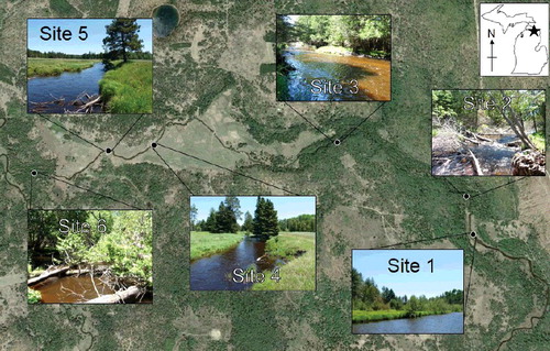 Figure 1. The east branch of the Black River within the Black River Ranch, showing the location and images of our six study sites. River flow is westerly. Landscape photo from Google Earth, taken in May 2011. Site photos by the authors.