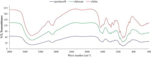Figure 3. FT-IR spectra of chitin, chitosan and COS produced by Pectinex® hydrolysis