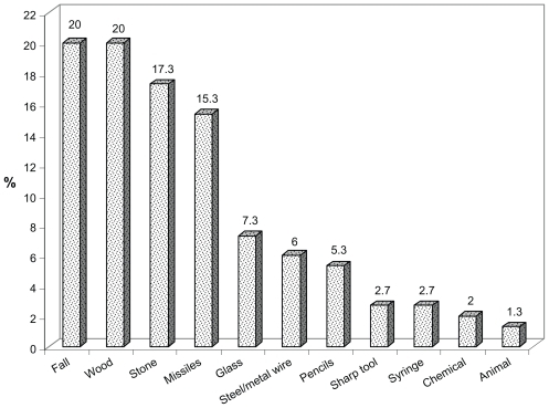 Figure 3 Distribution of children with eye injuries according to cause of injury.