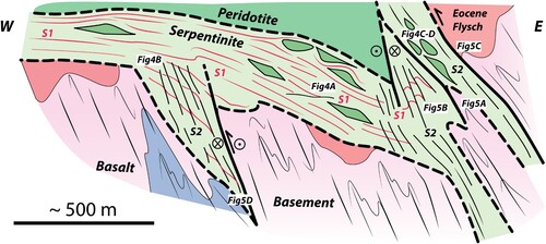 Figure 7. Schematic cross-section summarising the different field observations and the relationships of the serpentinite with the substrate.