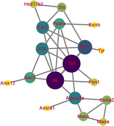 Figure 3. The PPI network of 21 collective genes. The darker the node color means the more important in this PPI network.