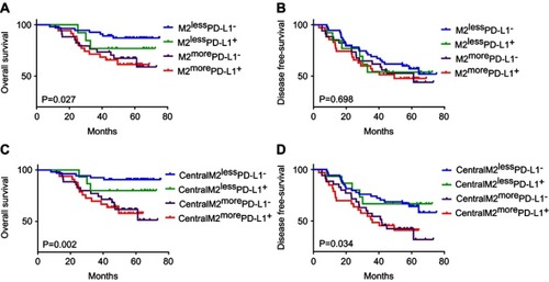 Figure 6 Prognostic analysis of M2 macrophages and tumor PD-L1 combination of NSCLC. (A) Kaplan–Meier curve of the relationship between the combination of M2 macrophages and tumor PD-L1, and the overall survival (OS). (B) Kaplan–Meier curve of the relationship between the combination of M2 macrophages and tumor PD-L1 and the disease-free survival (DFS). (C) Kaplan–Meier curve of the relationship between the combination of centralM2 macrophages and tumor PD-L1, and the OS. (D) Kaplan–Meier curve of the relationship between the combination of marginM2 macrophages and tumor PD-L1, and the DFS.Notes: M2lessPD-L1−: low infiltration of M2 macrophages and tumor PD-L1 negative; M2lessPD-L1+: low infiltration of M2 macrophages and tumor PD-L1 positive; M2morePD-L1−: high infiltration of M2 macrophages and tumor PD-L1 negative; M2morePD-L1+: high infiltration of M2 macrophages and tumor PD-L1 positive. centralM2lessPD-L1−: low infiltration ofcentralM2 macrophages and tumor PD-L1 negative; centralM2lessPD-L1+: low infiltration of centralM2 macrophages and tumor PD-L1 positive; centralM2morePD-L1−: high infiltration of centralM2 macrophages and tumor PD-L1 negative; centralM2morePD-L1+: high infiltration of centralM2 macrophages and tumor PD-L1 positive.