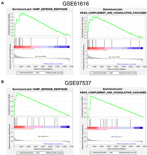 Figure 2 GSEA analysis of the two GEO datasets. (A) GSEA analysis results for GSE61616. (B) GSEA analysis results for GSE97537.