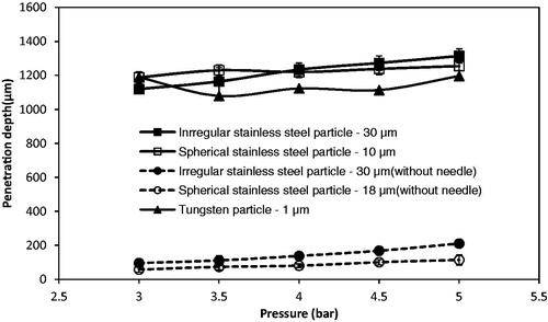 Figure 8. The penetration of tungsten microparticles in the skin mimicking agarose gel based on the assistance of MNs. (A) Adminpatch MN 1500, (B) in-house fabricated MN 750.