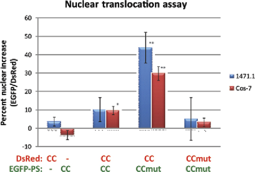 Figure 3. NTA results for the Bcr coiled coil and mutant coiled coil.The mutant coiled coil is designed to prevent homo-oligomerization (CCmut:CCmut) and to improve binding to the wild-type coiled coil. This results in EGFP-PSCCmut being more available to oligomerize with DsRed-CC and the greatest nuclear translocation with this combination (CCmut:CC, third column). PS, protein switch; CC, coiled coil; CCmut, mutant coiled coil. *P < 0.01, **P < 0.001 compared with control (first column); each experiment was performed in triplicate with at least eight cells analyzed per experiment. Statistical significance was determined using one-way ANOVA with Tukey's post-test.