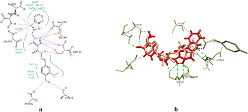 Figure 8. (a) 2D interaction of compound 6g with Topo II active site (PDB code: 1ZXM). (b) Aligned conformation of compound 6g (Red) with co-crystallised ligand (Salmon) inside Topo II.