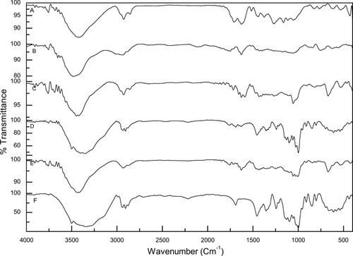 Figure 5 FT-IR spectra of pure ProE (A), PLGA (B), PVA (C), NP2 (D), NP5 (E) and trehalose (F).