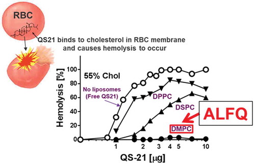 Figure 3. Differential binding of QS21 to high levels of cholesterol (Chol) in liposomes containing DMPC, DPPC, and DSPC results in differential blocking of QS21-induced hemolysis of adjacent-red blood cells (RBC), as shown. Modified from [Citation12].